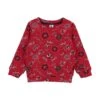PETIT BATEAU Sweat-shirt -Petit Bateau 10039040pa 14 f