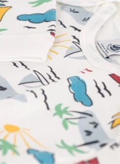 PETIT BATEAU Dors-bien Sans Pieds En Coton Bio | Multicolore -Petit Bateau 4146763