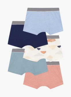 PETIT BATEAU Lot De 5 Boxers En Coton Bio | Multicolore -Petit Bateau 4146827