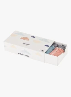 PETIT BATEAU Lot De 5 Boxers En Coton Bio | Multicolore -Petit Bateau 4146829
