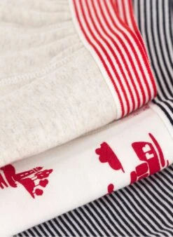 PETIT BATEAU Lot De 3 Boxers En Coton Bio | Multicolore -Petit Bateau 4152311