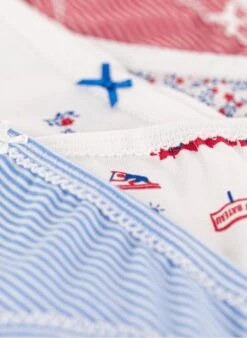 PETIT BATEAU Lot De 5 Culottes En Coton Bio | Multicolore -Petit Bateau 4152368